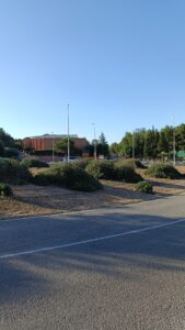 IMG20250524082933